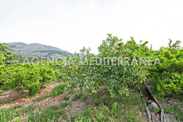 AMPLIA PARCELA URBANIZABLE PROXIMA ORBA CENTRO — 16