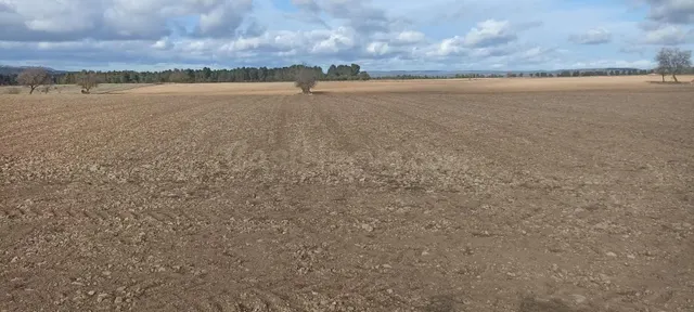 TERRENO EN CASAS DE MADRONA
