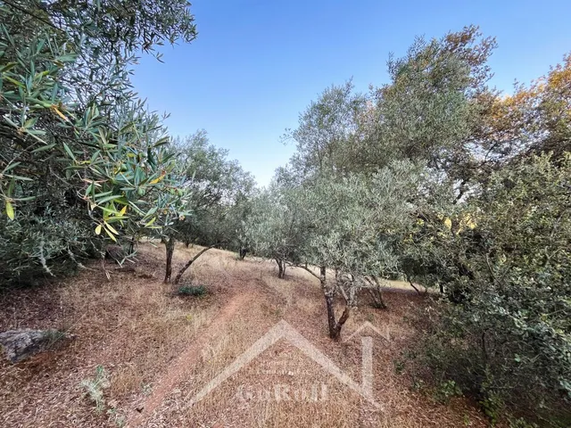Suelo rústico en Venta en Constantina Sevilla — 11