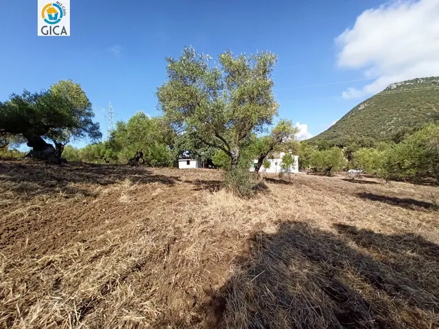 CASA CON PARCELA  EN LA SIERRA DE CADIZ -EL BOSQUE — 37