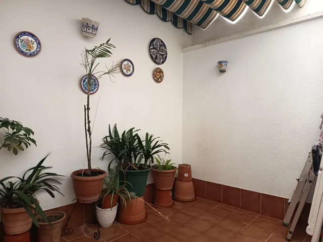 Fantástica vivienda junto al Vial — 21