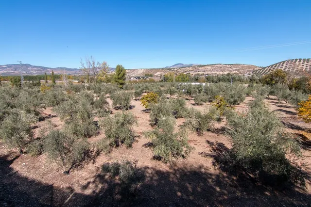 Hospederia rural en Huetor Tajar. — 44