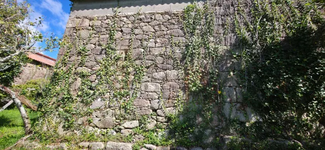 CASA DE PIEDRA EN RUINAS CON PARCELA EN DODRO