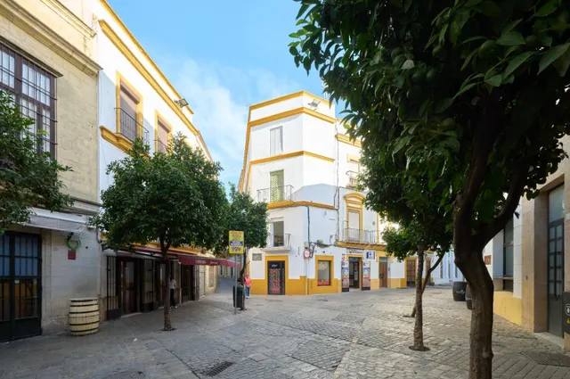 EXCLUSIVO PISO DE LUJO, CON LICENCIA TURÍSTICA, EN EL CENTRO DE JEREZ. ¡NO TE LO PIERDAS! — 16