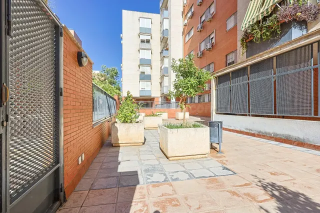 Piso en venta en Pino Montano - foto 3