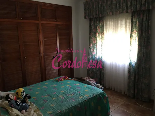 MAGNIFICO CASA CON TERRRENO EN ALCOLEA!! — 12
