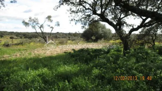 Se vende Parcela de 8.200 m2 vallado, en Arroyo de la Luz - foto 4