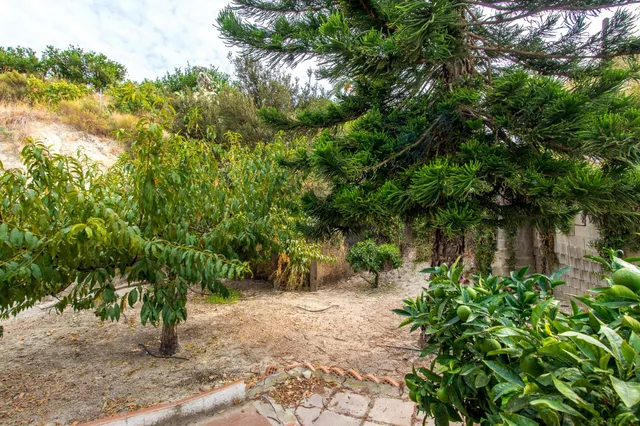 Casa rustica en Archena con vistas despejadas en parcela de mas de 1200m2 — 40