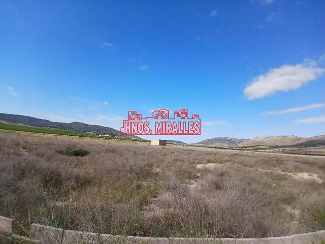 ¡¡ GRAN PARCELA DE 25851 m2 EN ABANILLA !! — 2