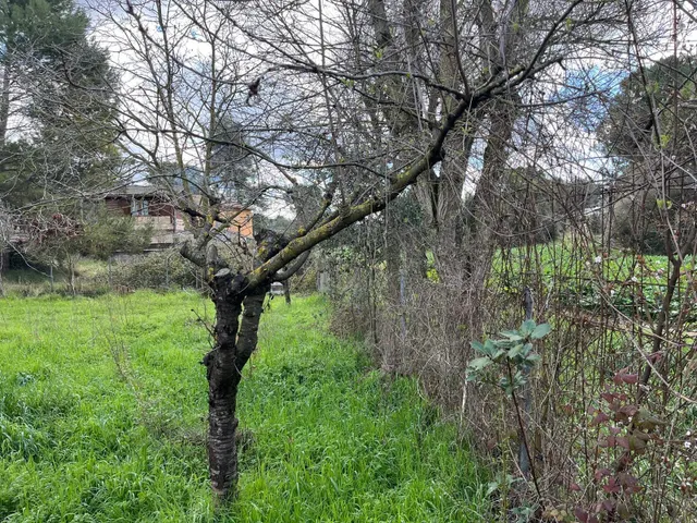 VENTA DE TERRENO EN EL BRUC - URB MONTSERRAT PARK (BARCELONA) — 4