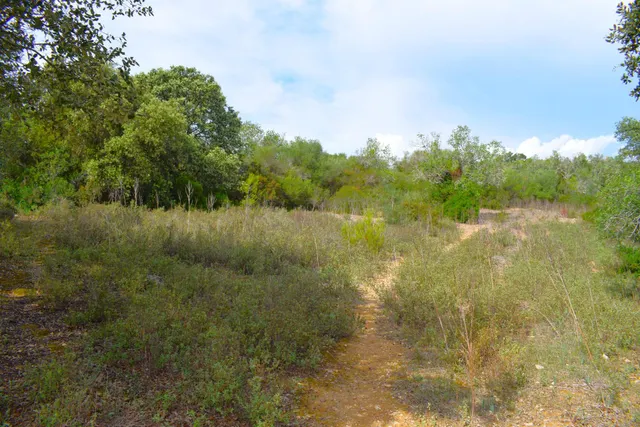 Finca rústica con posibilidad de vivienda en Llubi — 17