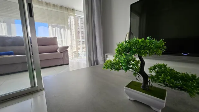 ¡Tu rincón en Benidorm te espera! ️✨ — 4