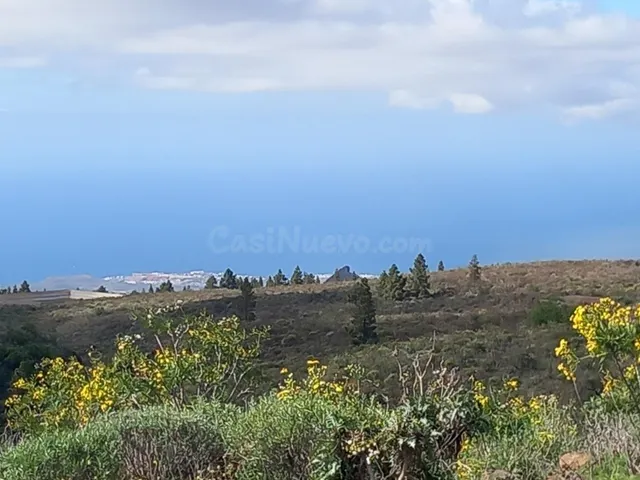 En venta maravillosa finca completamente llana en Vilaflor d - foto 2