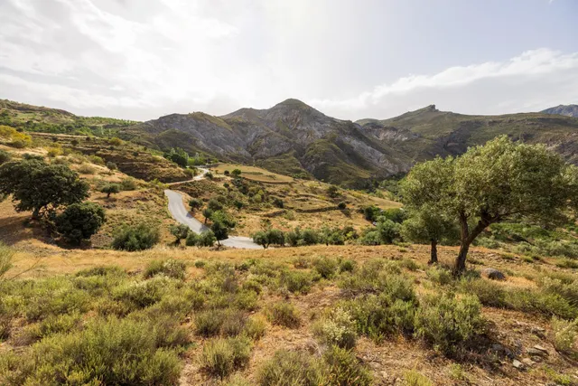 En Venta Maravilloso Paraje Natural, a medio camino entre Granada y Sierra Nevada, a veinte minutos en coche, desde cada una de ellas. — 20