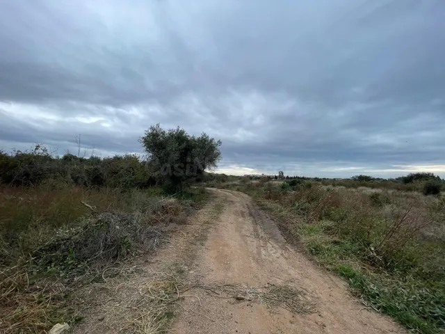 EN VENTA – SUELO RÚSTICO EN CAMBRILS (TARRAGONA) - foto 2
