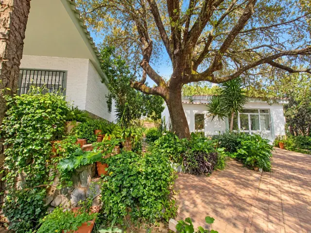 Casa independiente con piscina, porche y jardín en Castilblanco de los Arroyos — 38