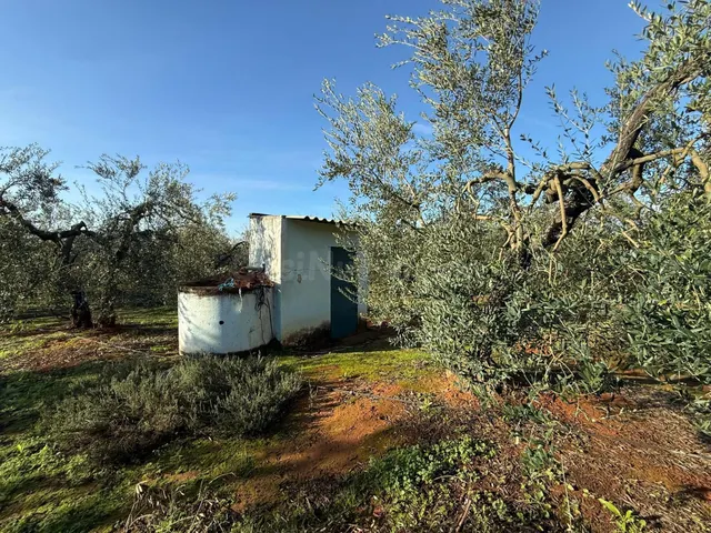 Terreno rural en venta - Andalucia