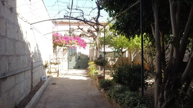 Auténtica casa mallorquina con jardín, amplios garajes y gra
