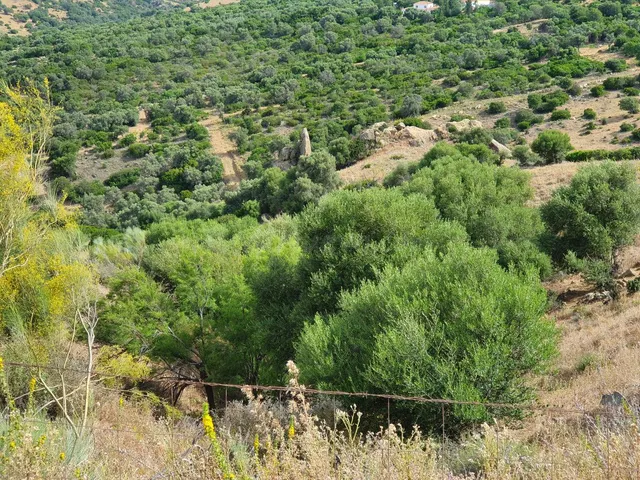 Parcela en venta - Costa Del Sol - foto 2