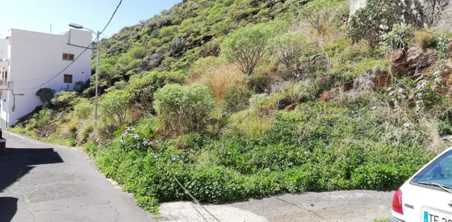 Se vende 2 solares urbanos en María Jiménez. - foto 3