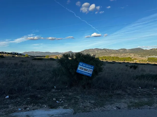 Parcela de 30.000 metros detras del hospital de Elda — 2