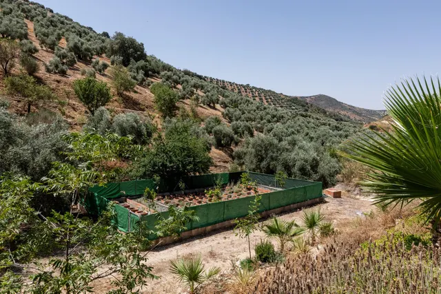 Finca rústica 5 habitaciones 300m² en venta - Andalucia — 29