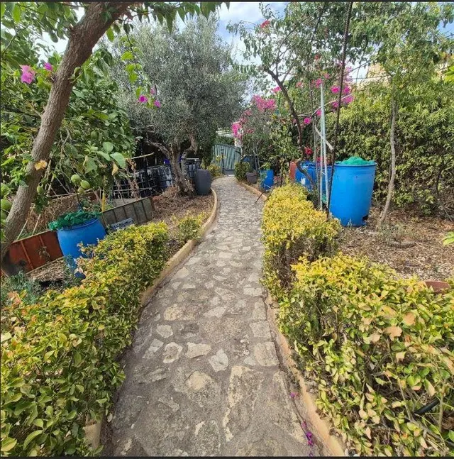 SE VENDE PARCELA EN EL MONTE ZAMORA DE 800 METRSO Y CASA DE  - foto 2