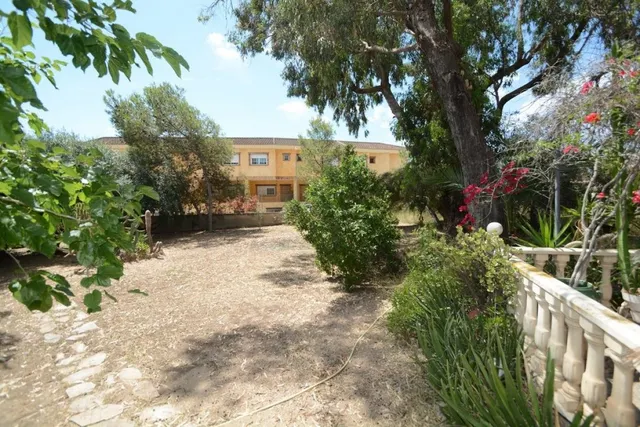 Solar Urbano de 940 m2. en la Murada (Orihuela), con casa de 95 m2. construidos para reformar — 5