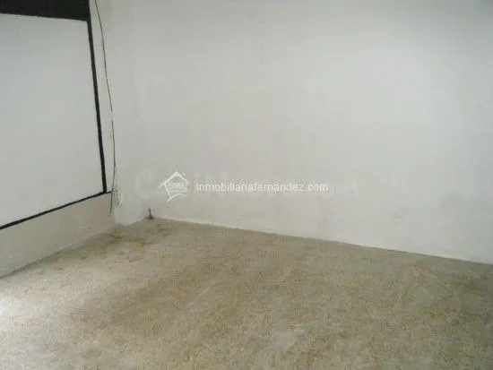 Próximo al caballo !!! - foto 5