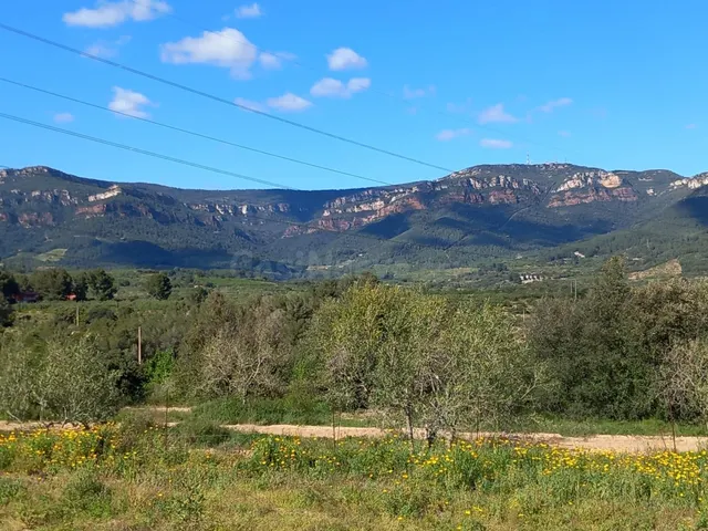 Terreno rural en l'Aleixar — 3