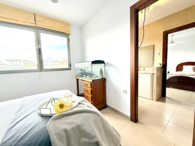Descubre tu hogar ideal en La Alcayna — 40