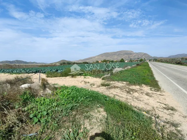 NUEVA PROPIEDAD SE VENDE TERRENO RURAL EN MONFORTE DEL CID EN EL CAMINO SAN VICENTE — 2