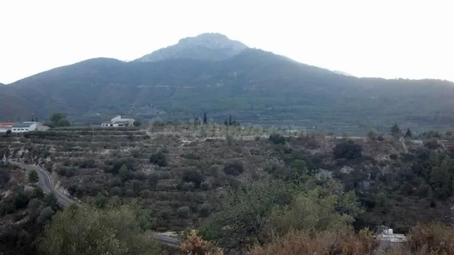 Parcela en venta - Centro - foto 5