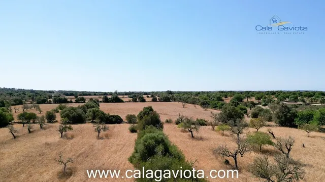 Terreno de 19.000 m2 a 2 km de Ses Salines - foto 2