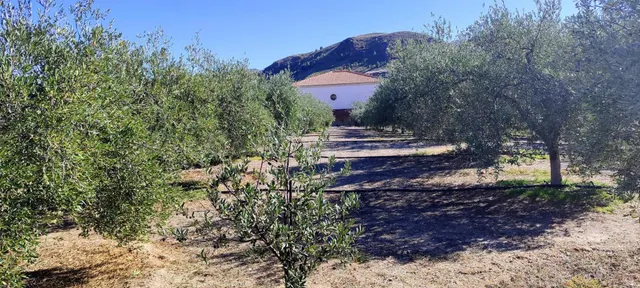 MACAEL ( ALMERÍA ). VENTA DE CASA DE CAMPO DE UNA PLANTA CON - foto 3