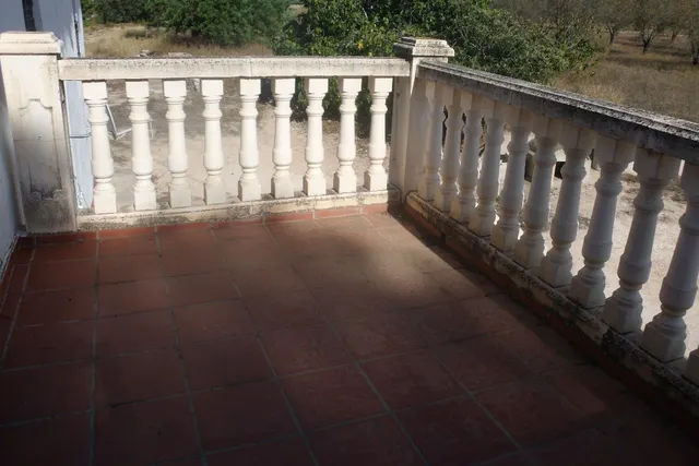 Finca La Farola Ontinyent — 16