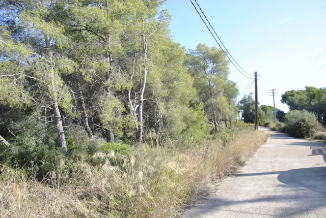 Parcela Rústica en el municipio de Cubelles, 5.560 mts2 Corral d'en Cona — 7