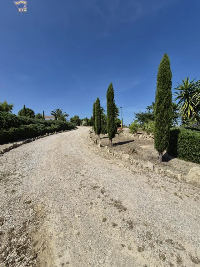 SE VENDE FINCA RÚSTICA EN ZONA DE CARRETERA ARCOS-GIBALBIN — 8