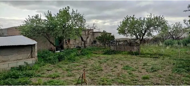 Finca agrícola y ganadera de 25.000 m2 con pozo propio, placas solares y plantación en producción en Gérgal — 20