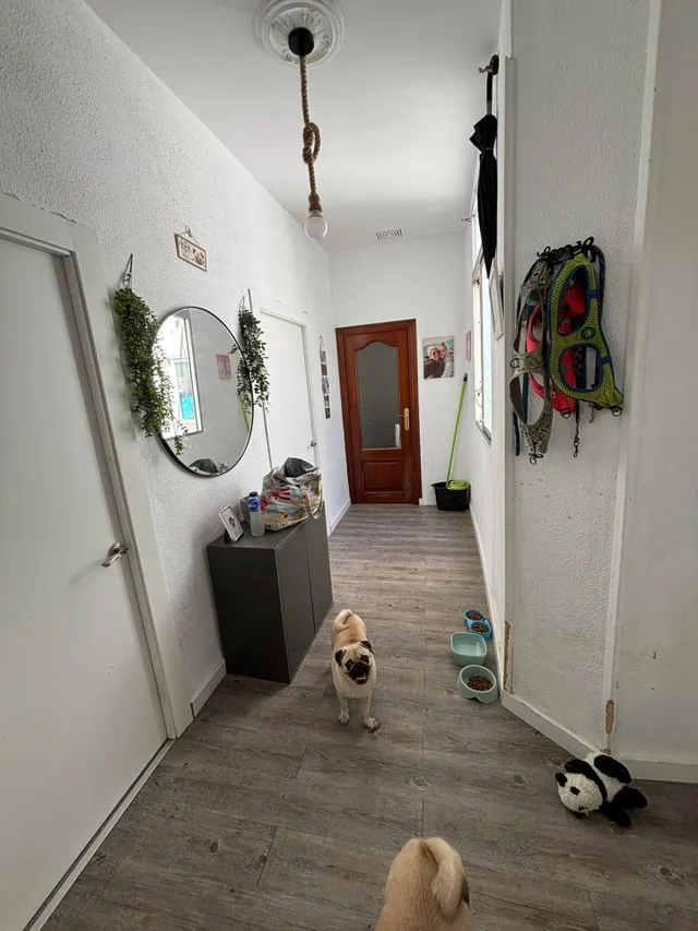Piso en venta en la Viña — 2