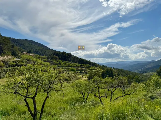 ESPECTACULAR FINCA RÚSTICA EN SELLA — 5