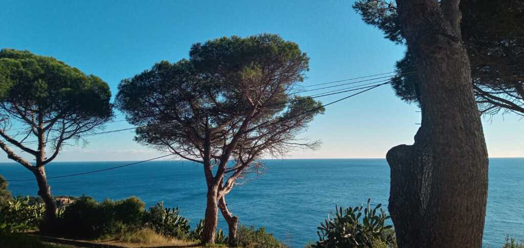 Adosada en Venta en Sant Feliu De Guixols Girona - foto 41
