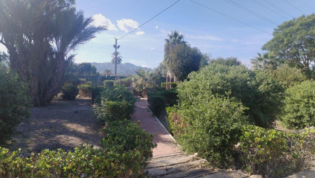 Casa-Chalet en Venta en Callosa De Segura Alicante - foto 61