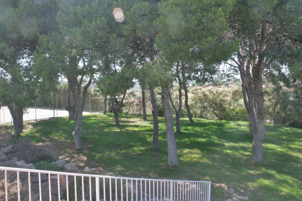 Casa-Chalet en Venta en Mutxamel Alicante - foto 18