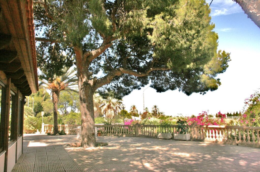 Casa-Chalet en Venta en Mutxamel Alicante - foto 3