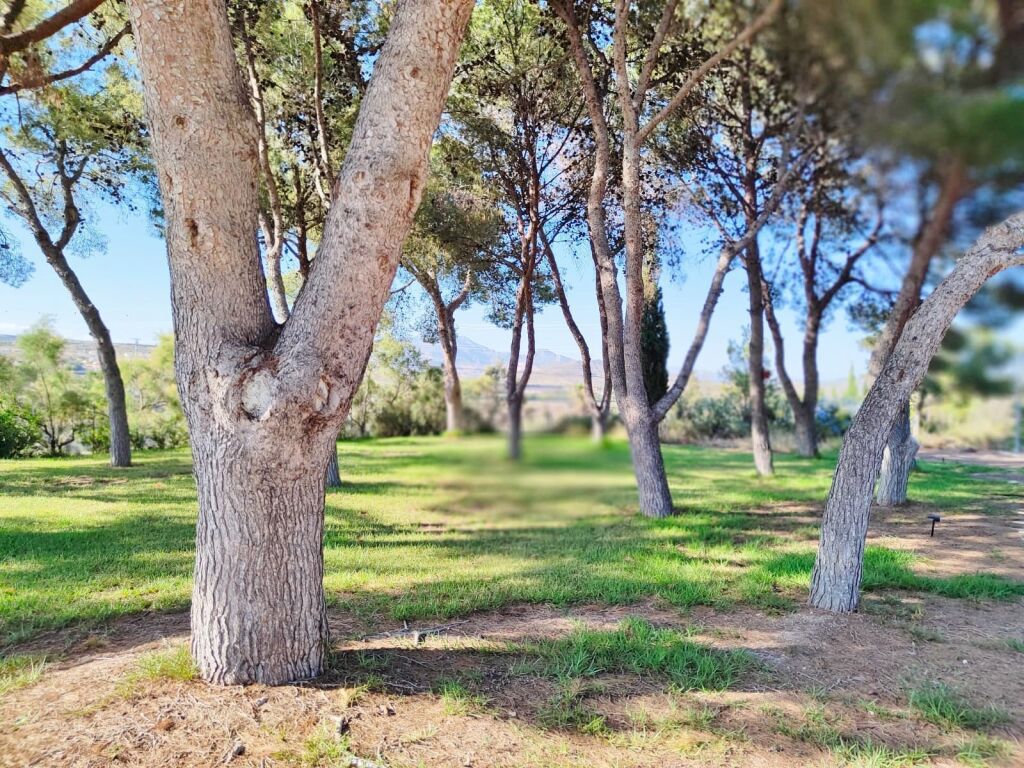 Casa-Chalet en Venta en Mutxamel Alicante - foto 81