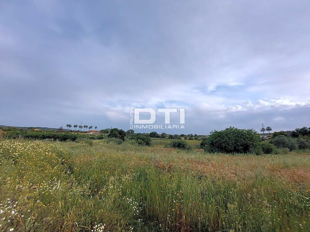 Parcela en San Bartolomé de la Torre a sólo 2Km del pueblo - foto 2