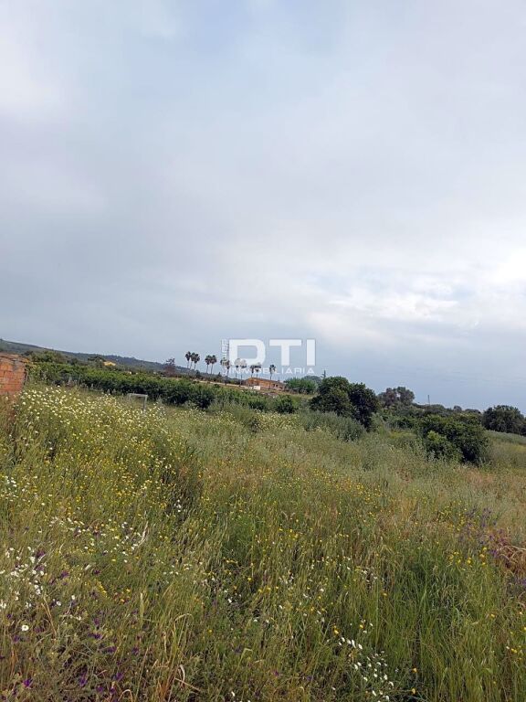 Parcela en San Bartolomé de la Torre a sólo 2Km del pueblo - foto 3