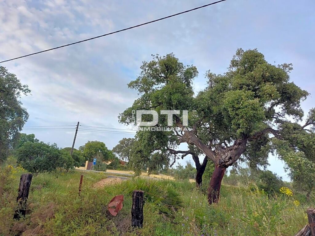Parcela en San Bartolomé de la Torre a sólo 2Km del pueblo - foto 6