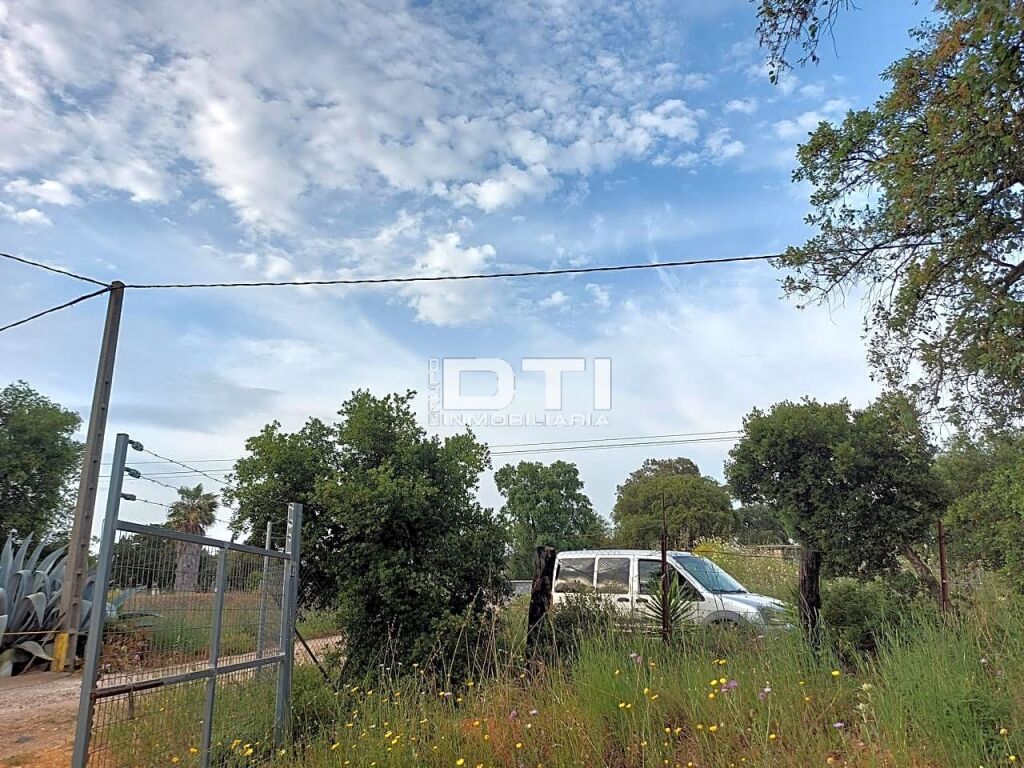 Parcela en San Bartolomé de la Torre a sólo 2Km del pueblo - foto 9
